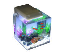 水族箱 家居中的一方靈動水域，如何打造與維護