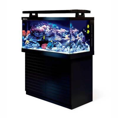 紅海MAX S-500 頂級海水魚缸的預定款，一淘網優惠購省心又省錢