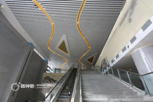 蒼南高鐵站充電樁銷售現(xiàn)場紀(jì)實(shí) 機(jī)動(dòng)車充電新趨勢初現(xiàn)